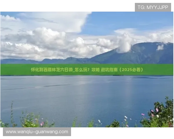 玩球代理怎么做避坑指南平台对比极速提现
